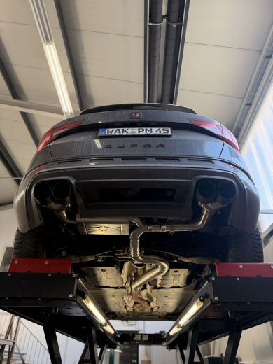 REAPER V4 Cupra ATECA