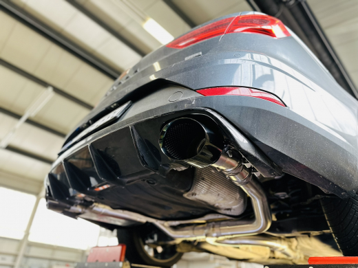 Classic Oval Endrohre