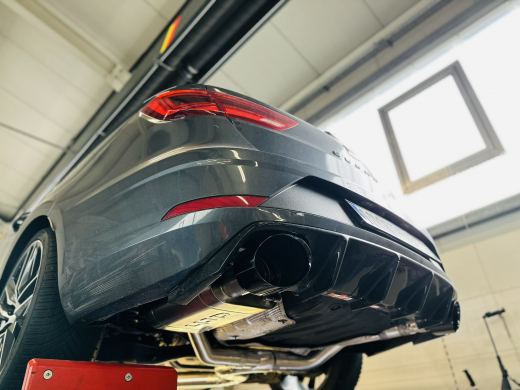 Classic Oval Endrohre