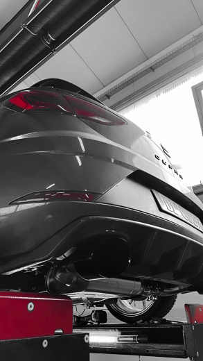 REAPER V4 Seat Leon 290 OPF DNUE DNUC