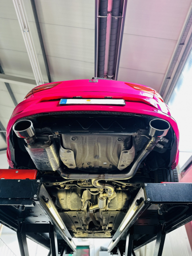 Classic Oval Endrohre